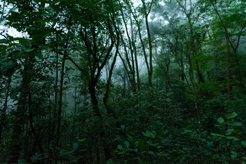 Fototapeta premium la gloria escondida