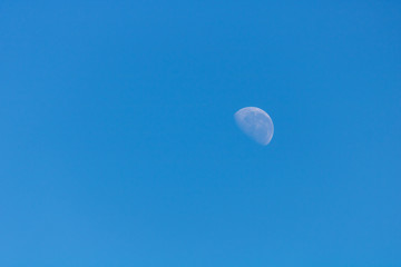 half moon in the blue sky on the day - Space for text