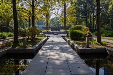 Early morning scene in Higashi Yuenchi park, Kobe city, Japan.