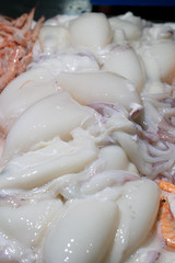 calamar