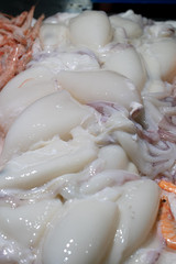 calamar
