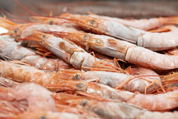 gambón