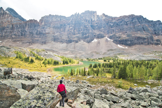 Hiking at Lake O&rsquo;Hara area in Yoho national park