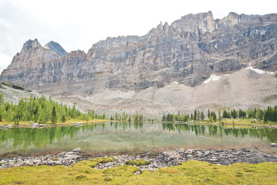 Hiking at Lake O&rsquo;Hara area in Yoho national park