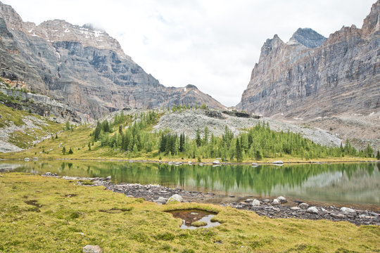 Hiking at Lake O&rsquo;Hara area in Yoho national park