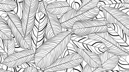 Selbstklebende Fototapeten Foliage seamless pattern, leaves line art ink drawing in black and white © momosama
