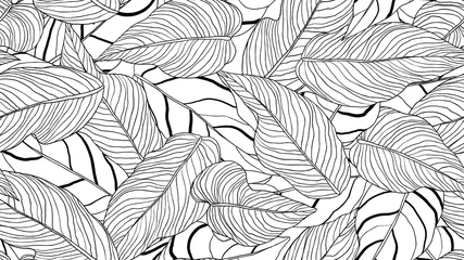 Gordijnen Foliage seamless pattern, long leaves line art ink drawing in black and white © momosama