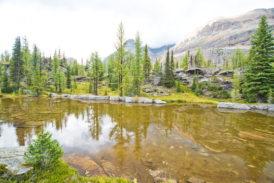 Hiking at Lake O&rsquo;Hara area in Yoho national park