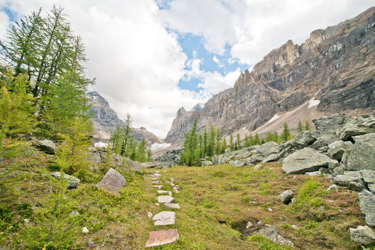 Hiking at Lake O&rsquo;Hara area in Yoho national park