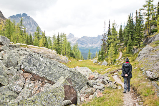 Hiking at Lake O&rsquo;Hara area in Yoho national park