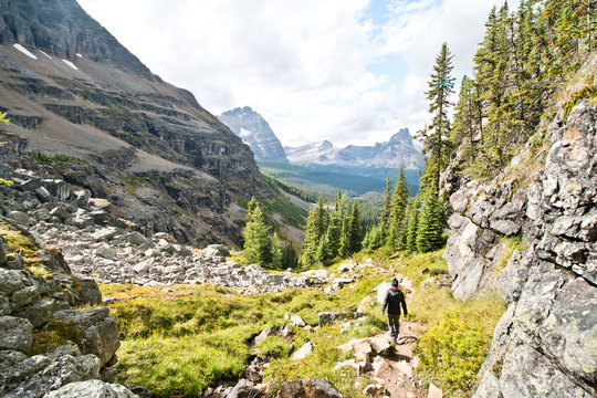 Hiking at Lake O&rsquo;Hara area in Yoho national park