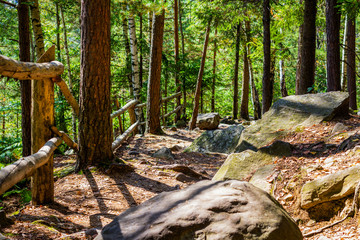 Handrail path in sunny day forest .