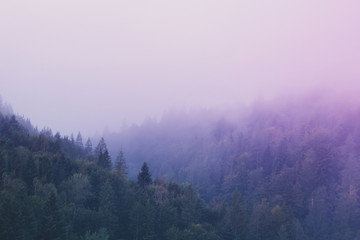 Foggy weather in the forest mountains.