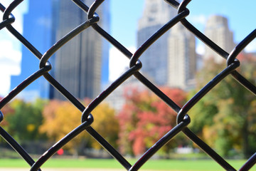 Looking through wire into Central Park 