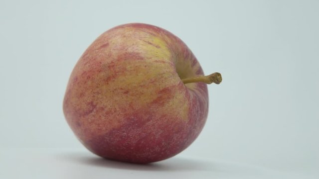 Gala Apple. One apple that&rsquo;s  rotations.