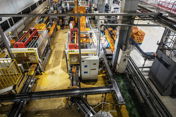 Carbonated drinks factory with view of production and bottles.