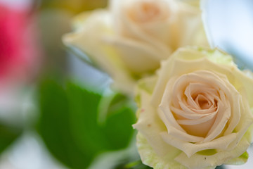 bouquet of white roses