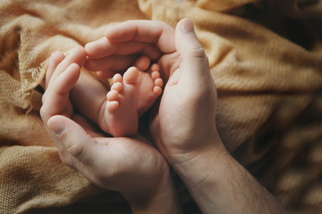 Newborn Baby's feet. Mother and father holding newborn baby legs,legs massage concept of childhood,...