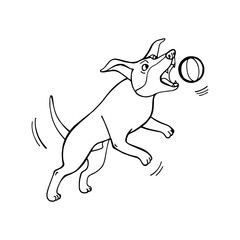 Funny cute dog playing with a ball. My best friend. Vector hand draw illustration