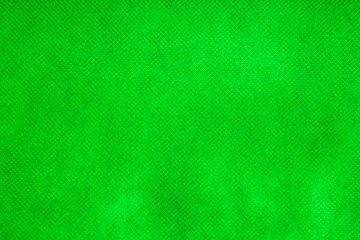 This is a photograph of a Vibrant Green textured backdrop