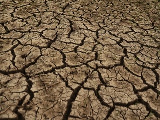 dry cracked earth