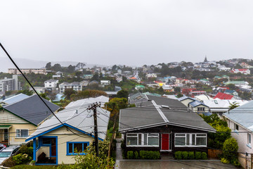 Rain in Wellington, New Zealand