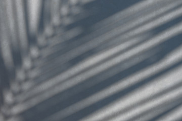 shadow from a palm branch falling on the wall