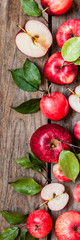 Red Apples, banner