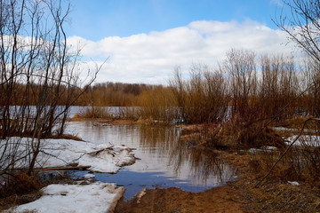 Spring landscape with river, yellow grass on the shore, trees without leaves and blue sky with white clouds in the background