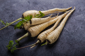 Bundle of fresh organic parsnip  over gray texture background.