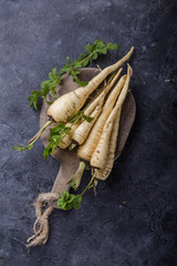 Bundle of fresh organic parsnip  over gray texture background.