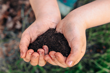 Child holding rich earth from the garden in two hands