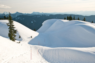 Snowshoeing in Mt. Seymour in Vancouver, BC