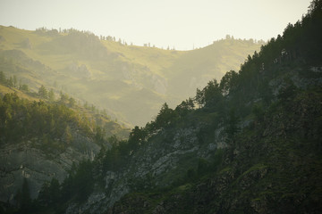 Mountains sunrise background forest trees
