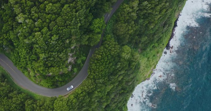 Driving on a tropical island road
