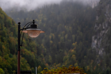 light in the fog