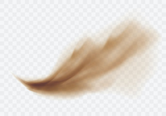 Desert sandstorm, brown dusty cloud or dry sand flying with gust of wind, big explosion realistic texture vector illustration isolated on transparent background © klyaksun