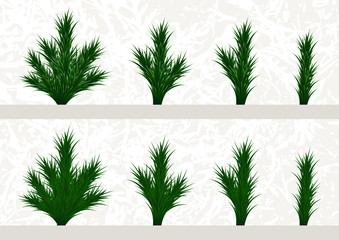 Fir branches and parts of branches set. Different parts of plants to make a Christmas tree.