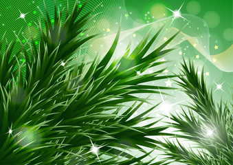 Sparkling christmas decorative background with green spruce branches, magic glare.
