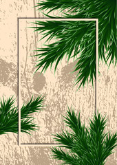 Fir branches and frame on a background with testure. Template for design.