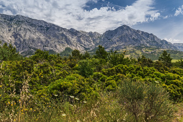 Mediteranes Ambiente am Fuße des Biokovo
