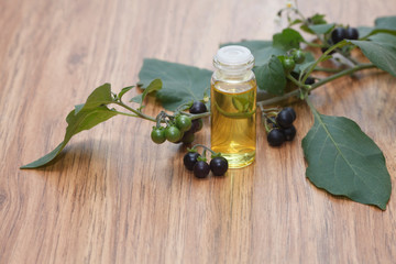 nightshade essential oil in glass jar with fresh nightshade (solanum nigrum inn) on wooden background