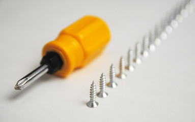 screws stand in line ready to become screwed in with a screwdriver like a gun and bullets