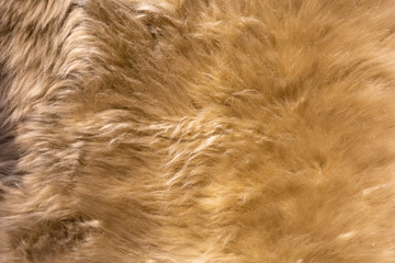 Tiled sheepskin wool, macro close up