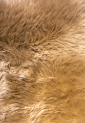 Tiled sheepskin wool, macro close up