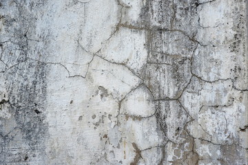 Stucco white wall background or texture.Wall fragment with scratches and cracks.White and golden messy wall stucco texture background. Decorative wall paint.Ultrawide Grunge Seamless Grey Grunge.