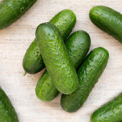 Ripe organic mini baby cucumbers on cloth, overhead view. Flat lay, top view, from above.
