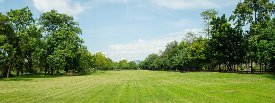 Panorama image of Beautiful of green lawn grass meadow field and trees in public park with city buildings in the background.