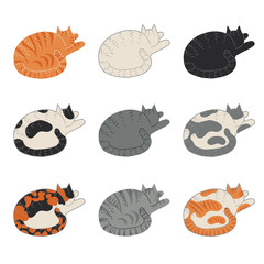 Set of cat coat colorings and patterns