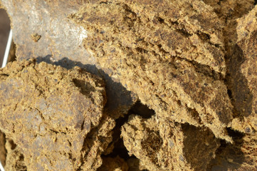 cotton khali,cotton seed khol,Indian animal food